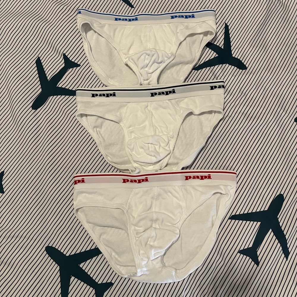 Men’s Papi bikini brief underwear. Medium.